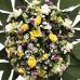 Coroa de Flores do Campo