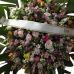 Coroa de Flores Nobres