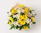 Cesta de Margaridas com Duas Cores