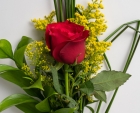 Rosa Solitária Vermelha